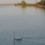 camper15-06-2012013.jpg