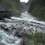 IMG_4331.jpg