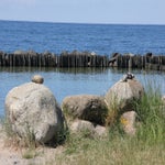 Rugen045.jpg
