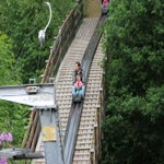 IMG_0151.jpg