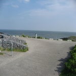 Renessemei2017007.jpg
