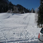 IMG_1529.jpg