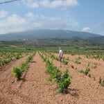 FrankrijkSpanje2017b098.jpg