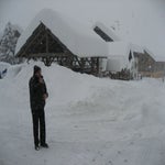 IMG_3655.jpg