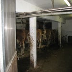 Weissensee2011075.jpg