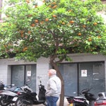 Spanje2016084.jpg