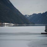 IMG_3595.jpg