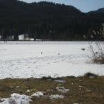 097-1.jpg