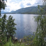 IMG_4288.jpg