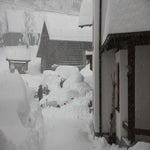 IMG_0318.jpg