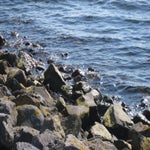 RondjeNederlandapril2017004.jpg