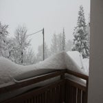IMG_0316.jpg