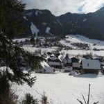 IMG_1550.jpg