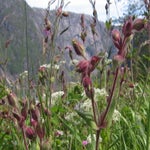 IMG_4341.jpg