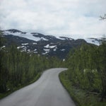 IMG_4301.jpg