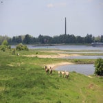 WeekjeGeldersePoort012-1.jpg