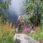 IMG_4287.jpg