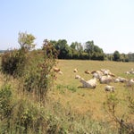 Frankrijk2019052.jpg
