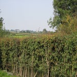 Duisland-Oostenrijk2017008-1.jpg