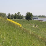 WeekjeGeldersePoort030.jpg