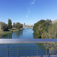 20220921_121240-1.jpg
