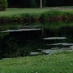 image-2.jpeg