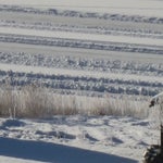 IMG_1491.jpg