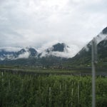 vanatie2013a116.jpg