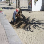 Spanje2016078.jpg