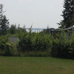 IMG_4409.jpg