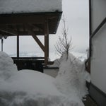 IMG_3661.jpg