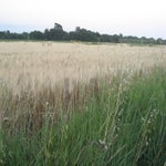 camperreis14-06-2012009.jpg