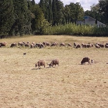 20220925_121810.jpg