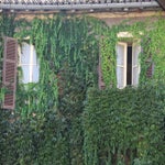 Tournus2010.jpg