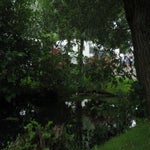 Woerden002.jpg