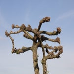 WeekjeGeldersePoort018-1.jpg