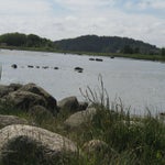 IMG_4275.jpg
