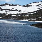 IMG_4310.jpg