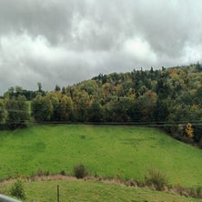 img-20241016-wa0000-standard.jpg