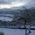 011-1.jpg