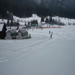 IMG_1044.jpg