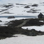 IMG_4315.jpg