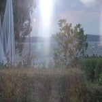 IMG_0215.jpg
