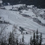 IMG_1484.jpg