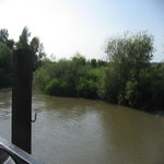 IMG_4427.jpg
