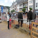 Vakantie2013108.jpg