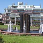 IMG_4394.jpg