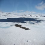 IMG_4316.jpg