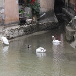 annecy014.jpg