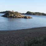 IMG_4388.jpg
